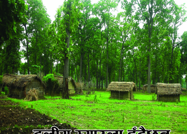 Bhumi Adhikar Bulletin 33