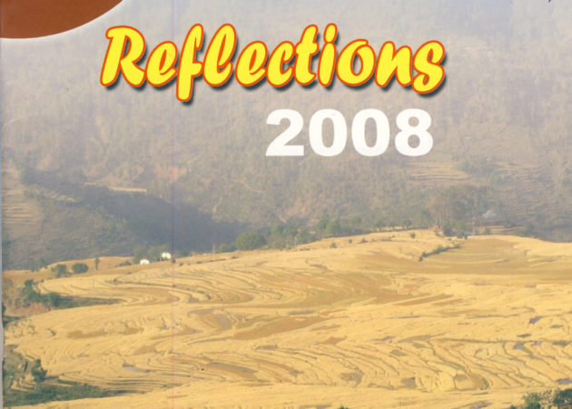 Reflection 2008