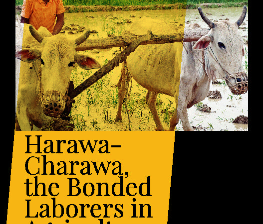 Harawa-Charawa, the Bonded Laborers in Agriculture